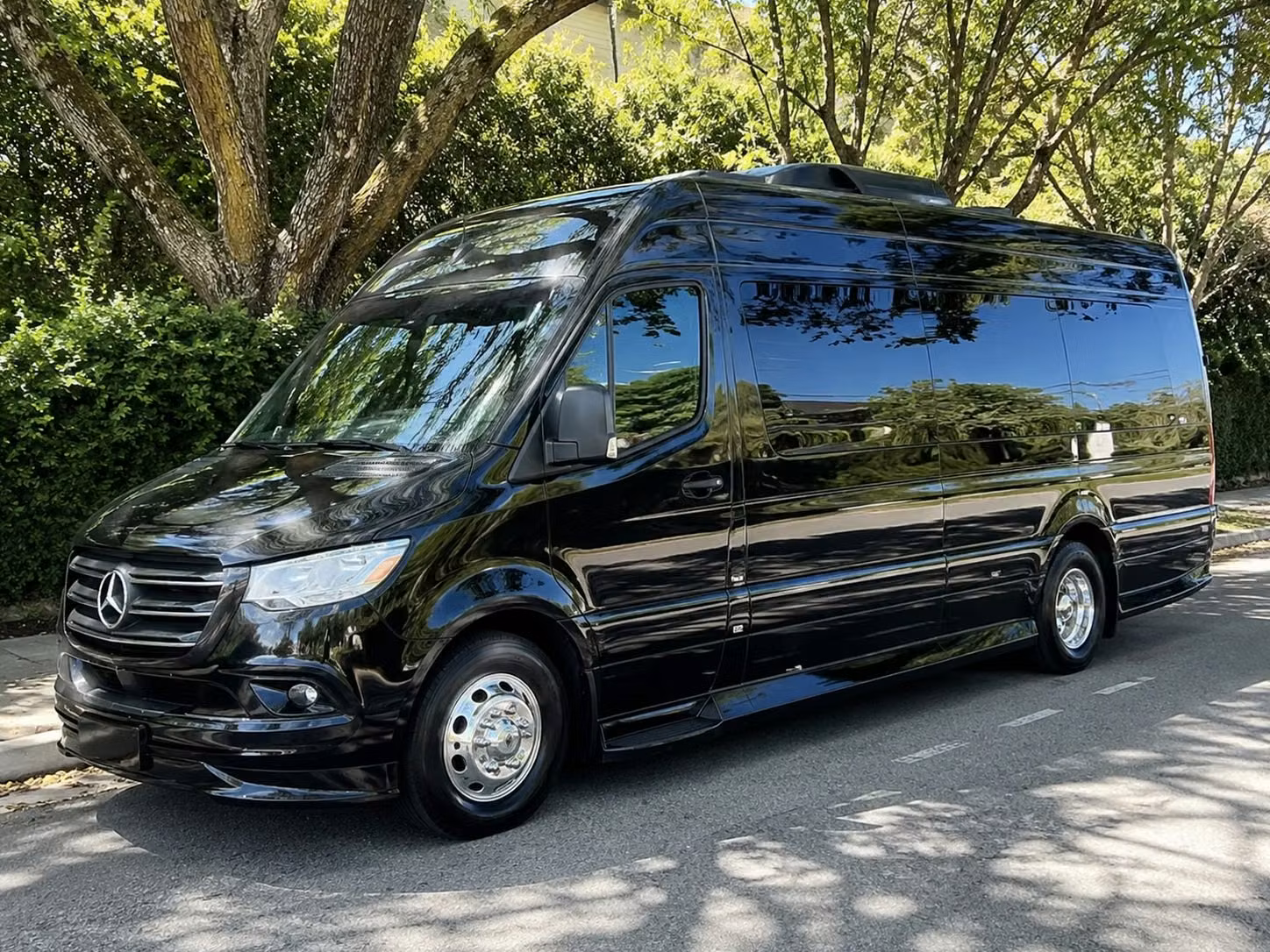 sprinter van with driver